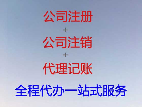 赤峰公司个体户注册-公司减资变更